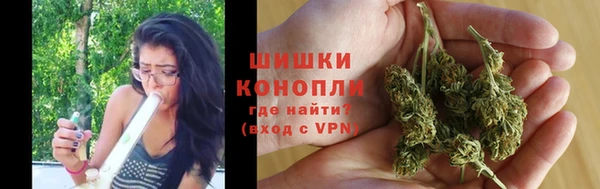 гидра Баксан
