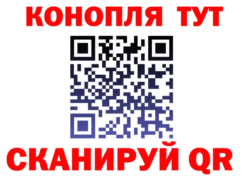 Альфа ПВП СК вход маркетплейс KRAKEN Городище